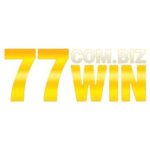 77wincombiz