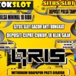 gurutotosdy1@outlook.com