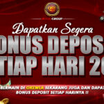 LIVE CASINO RESMI DAN TERPERCAYA 2024