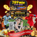 WINCOMTR
