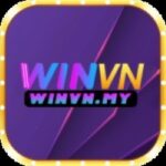 Winvn